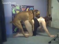 Irresistible married chick getting screwed by a dog for hubby in this outstanding beast fetish flick 